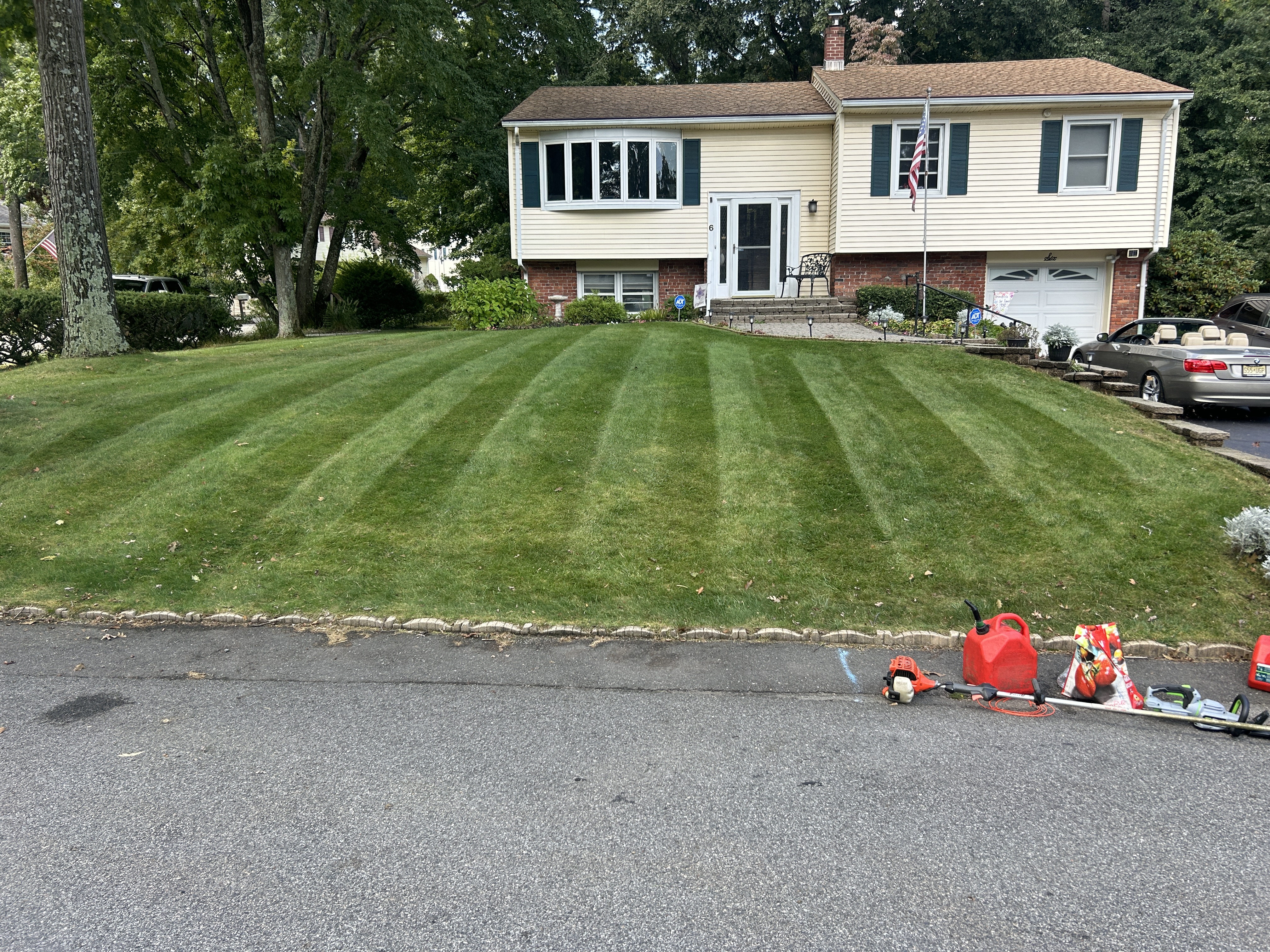 Professional lawn mowing equipment